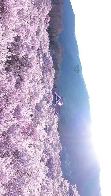万词王