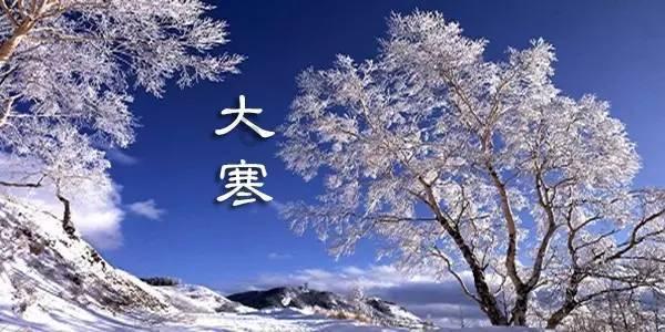 植物大战僵尸10