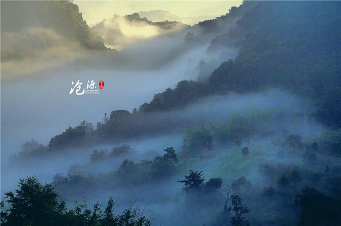 女性的两个卵巢，为啥一侧在“工作”，一侧在“休眠”？