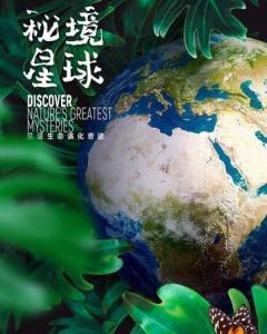 新高达破坏者