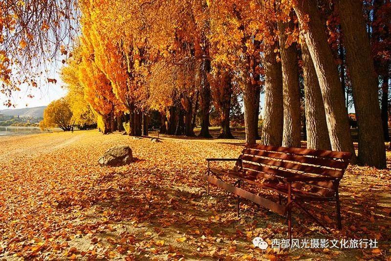 苹果Vision Pro头显上架京东国际 2月2日开始抢购