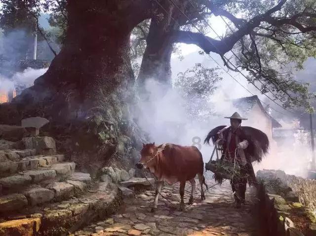 美图秀秀下载2023最新版