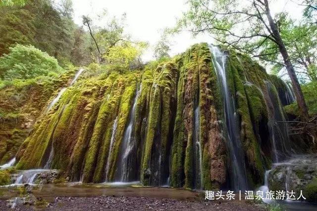 特战英雄