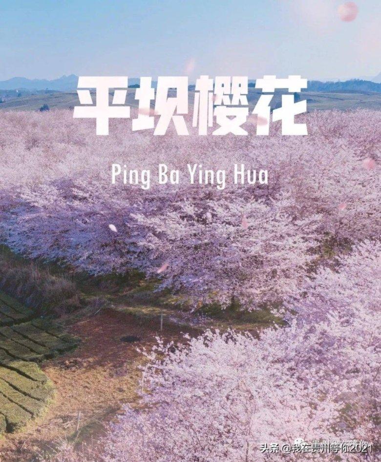“宁愿坐在宝马车里哭”的她，自曝“婚后半年被家暴7次”