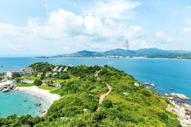 金毛出去打架带小弟,战况惨烈身负重伤,回家后被主人批评