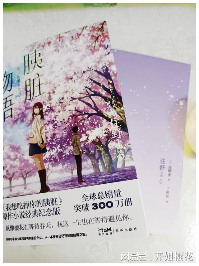 小猫钓鱼开船版最新版下载
