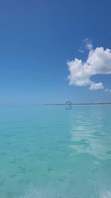 全省国家级经济技术开发区工作座谈会在宜春召开
