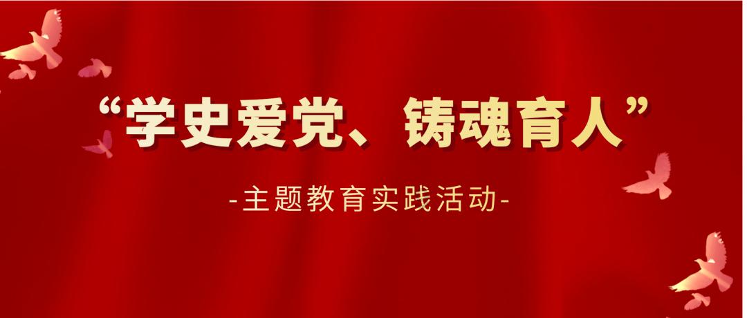 聚焦现代化“三农”建设 迈向高质量发展之路