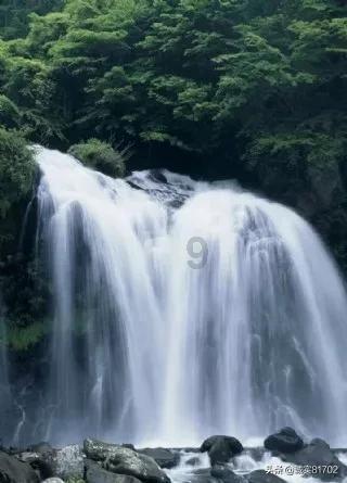 加勒比巡航