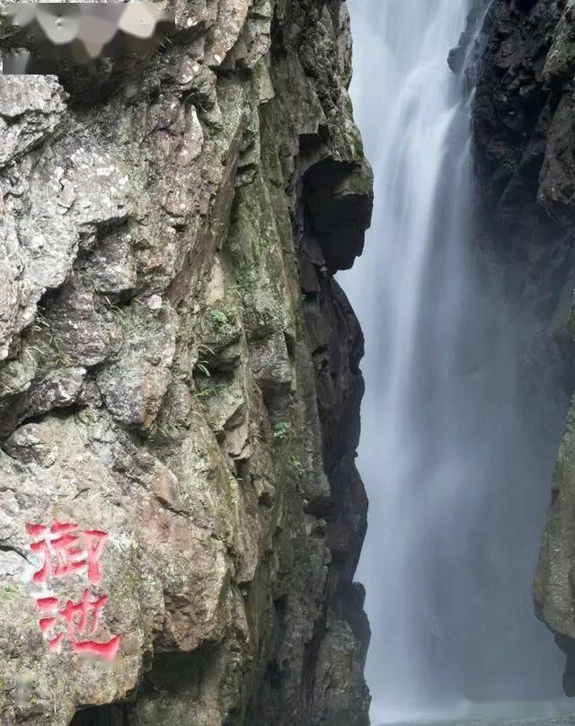 救援白虎