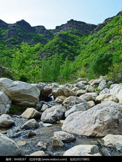 盘活闲置土地 “旧厂”引来“新凤”
