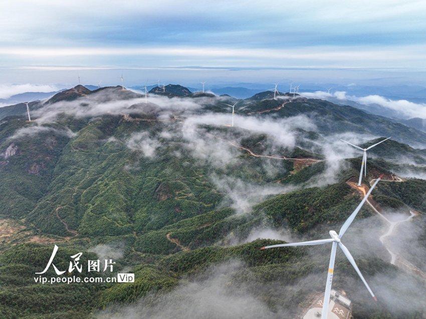 救援小蝙蝠