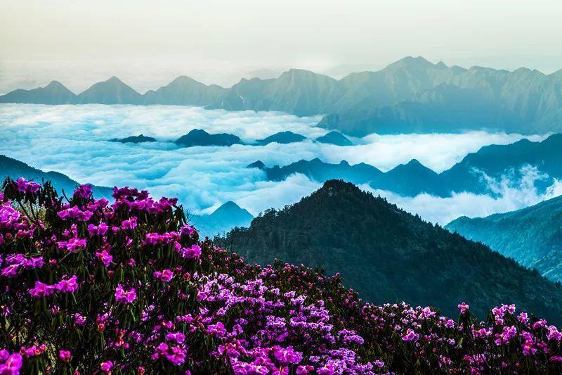 如何优雅地接近自己暗恋的人？