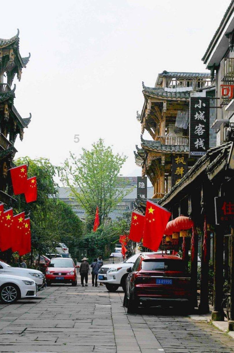 雨后盛放
