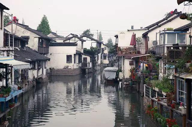 烧菜放的印泥是什么？游戏画面